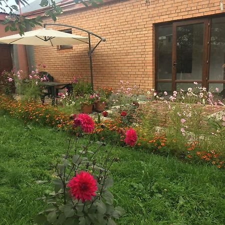 Story Guesthouse Kazbegi Esterno foto